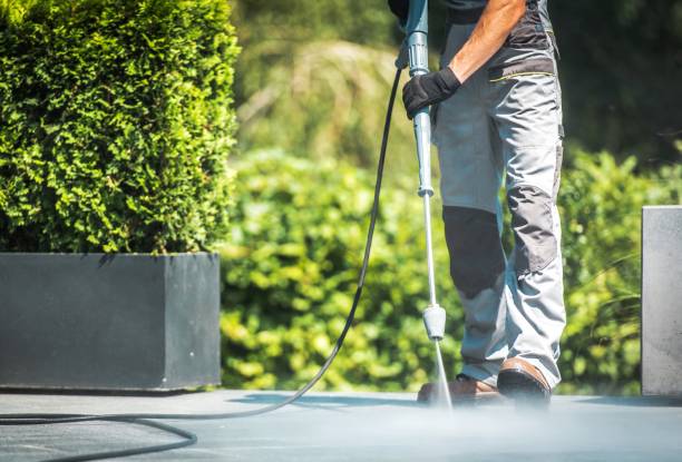 Best Fence Cleaning and Maintenance in Poydras, LA